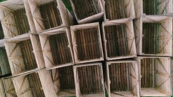 Folded Empty Wooden Boxes Warehouses Boxes Designed Harvesting Fruits Vegetables — Stock Video