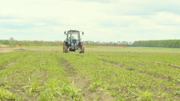 Сельскохозяйственный Трактор Удобряет Посевные Поля Питательными Веществами — стоковое видео