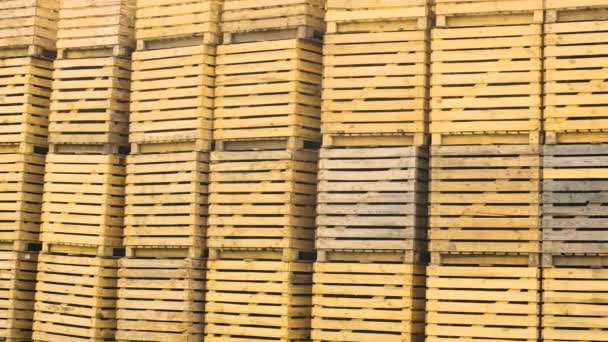 Folded Empty Wooden Boxes Warehouses Boxes Designed Harvesting Fruits Vegetables — Stock Video