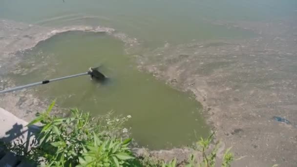 Hombre Discapacitado Pescando Lago Silla Ruedas Acampar Verano — Vídeos de Stock