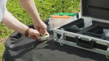 Laboratuvar asistanı sahadaki bitkiler üzerinde araştırma yapıyor.