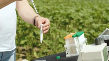 Laboratuvar asistanı sahadaki bitkiler üzerinde araştırma yapıyor.