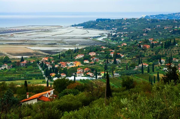 Campos Sal Secoveljske Soline Parque Natural Secovlje Salina Eslovénia Ístria — Fotografia de Stock