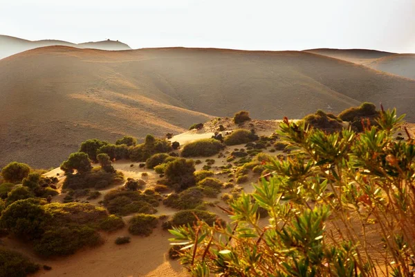 Внутрішні Гори Дюною Пустелі Невеликим Валом Зеленої Рослинності Передньому Плані — стокове фото