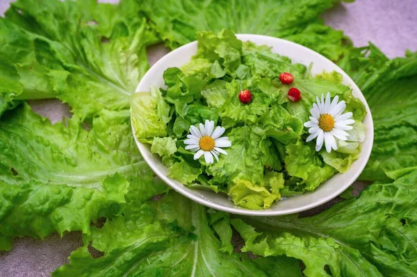 Salad Selada Hijau Segar Dengan Stroberi Hutan Dan Bunga Daisy — Stok Foto