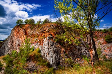 Güneşli bahar gününde terk edilmiş kireçtaşı ocağının vahşi güzelliği. Bu taş ocağı, Chlum Srbsko, yürüyüş ve doğa severler için favori yerdir. Bölge korunuyor, ulusal doğa rezervasyonu var. Çek Cumhuriyeti.