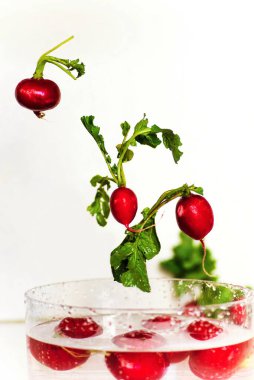 Üç turp kase üzerinde suyla havaya kalkıyor, birkaçı da ıslak kasede, beyaz arka planda..