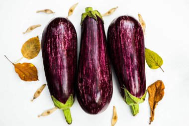 Sonbahar yaprağıyla beyaz arka planda beyaz şeritli üç mor patlıcan. Yakın çekim..