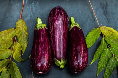 Mavi arka planda yaprağı olan üç mor patlıcan..