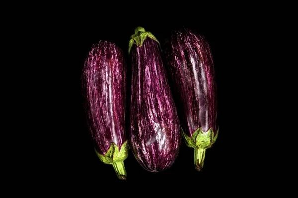 Siyah Arka Planda Beyaz Çizgileri Olan Mor Patlıcan — Stok fotoğraf