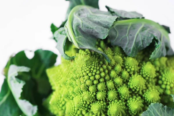 Pirámide Italiana Brócoli Romanesco Sobre Fondo Blanco — Foto de Stock