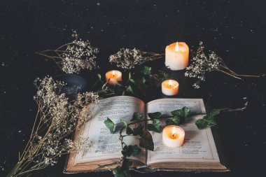 Open vintage poetry book on black table surface with white lit burning candles and dried flowers. Dark romantic cozy feel with a branch of ivy on top of the pages. With light overlay of white speckles clipart