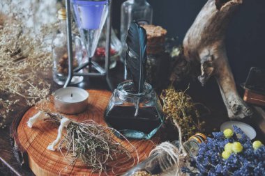 İçinde siyah mürekkep olan antika bir cam şişeye batırılmış yeşil zümrüt tonlu siyah tüy. Kurumuş bitkiler, bitkiler, çiçekler (bebek nefesi, kekik, lavanta) ile kurulmuş doğa bulanık arka planda