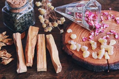 Palo Santo, cadı sunağındaki Bursera mezarlığı (kutsal ağaç) ağacından sarkan duman temizleme enerjisini kötü titreşimlerden temizlemeye hazır. Kurumuş bitkilerle, çiçeklerle, kavanozlarla, tütsülerle...