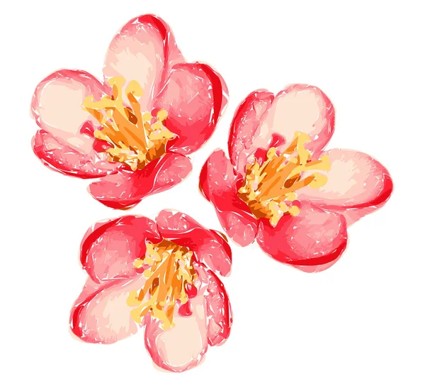 Illustration Vackra Milda Röda Rumsliga Blommor Isolerad Vit Bakgrund Enblommande — Stock vektor