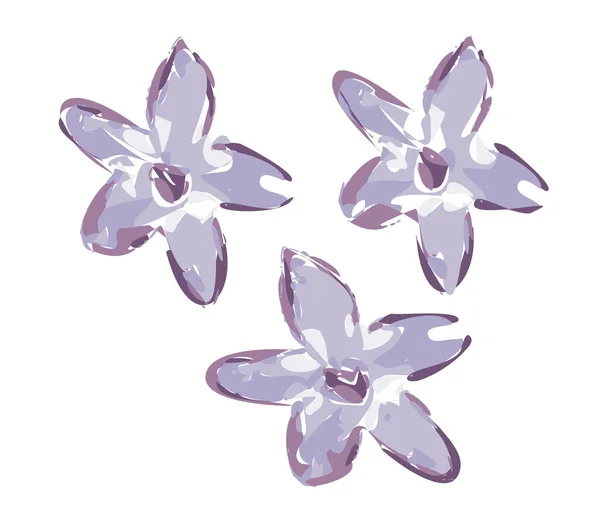 Conjunto Tres Flores Lila Aisladas Sobre Fondo Blanco Ilustración Vectorial — Archivo Imágenes Vectoriales