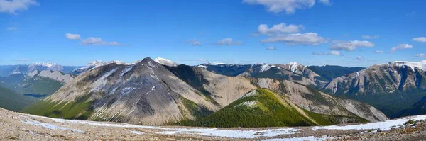 Trilha Horizonte Enxofre Belas Montanhas Altas Cobertas Neve Verde Forrest — Fotografia de Stock