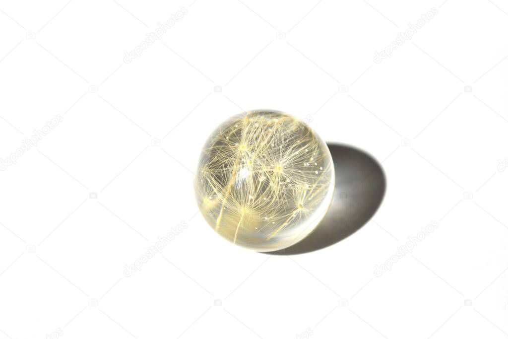 Dandelion fluff in epoxy resin ball. Handmade decoration isolated on white background. Suitable for text insert. 