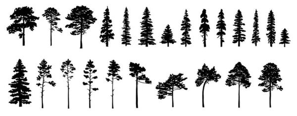 Sada Siluet Stromů Různých Typů Tvarů Izolovaných Bílém Pozadí Vektorová — Stockový vektor
