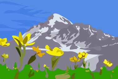 Önünde sarı çiçekler olan güzel Kazbek dağı. Görüntü.