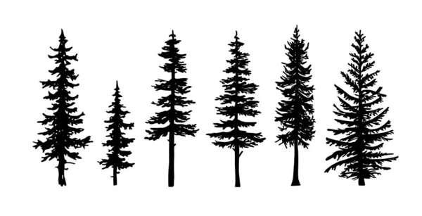 Conjunto Silhuetas Árvores Diferentes Tipos Formas Isoladas Sobre Fundo Branco — Vetor de Stock