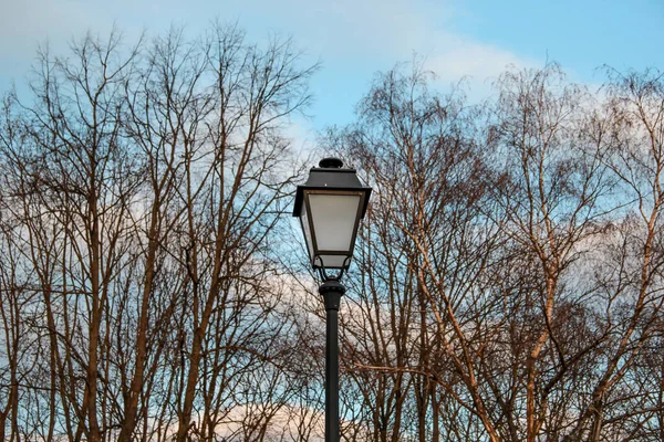 Árvores Nuas Lâmpada Rua Jardim Bernardinai Refrigerantes Bernardinu Com Nuvens — Fotografia de Stock