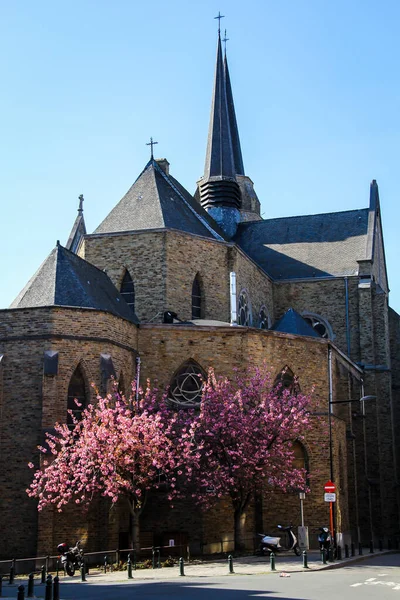 Baksidan Sankt Korsets Kyrka Eglise Sainte Croix Med Rosa Blommande — Stockfoto