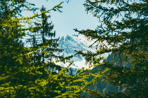 Vista Los Alpes Helados Lauterbrunnen Suiza — Foto de Stock