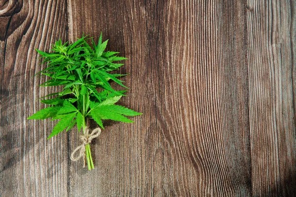Hemp plant branch on wooden background. Medical marijuana. Concept of herbal alternative medicine, cbd oil, pharmaceptical industry. Copy space