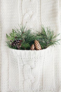 Örgü örülmüş yün kumaş cebinde kozalaklı Noel çamı dalları. Noel, tatil, kış konsepti. Dikey resim