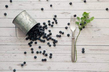 Dağınık yaban mersini, çatal ve ahşap arka planda yabanmersini çalısı dallı kupa