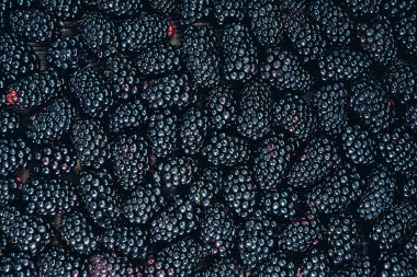 Taze olgun böğürtlenler. Üst manzara, düz uzanma