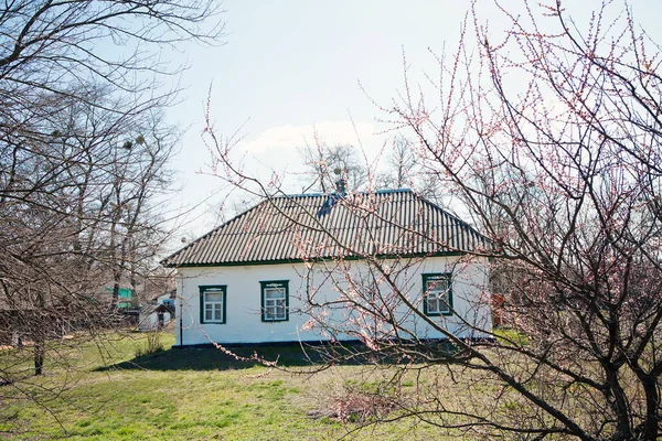 Altes Gepflegtes Haus Dorf Umgeben Von Blühenden Frühlingsbäumen — Stockfoto