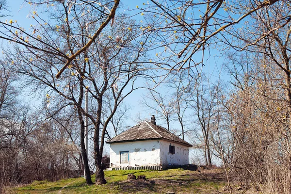 Old tidy house in village surrounded by flowering spring trees