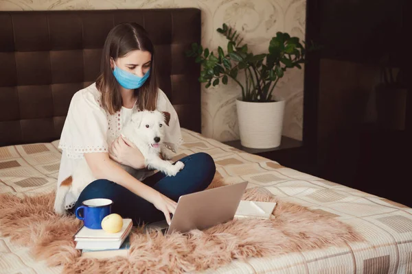 Koruyucu maskeli, köpeği olan genç bir kadın Jack Russell 'ın kırık işleri, evde dizüstü bilgisayar eğitimi. Evden çalışıyorum. Ev karantinası, COVID-19 önleme, Coronavirüs salgını durumu
