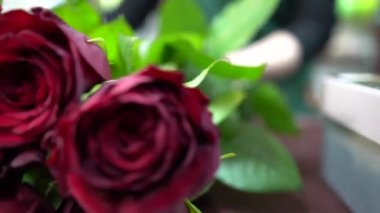  Kız buket gül koyuyor