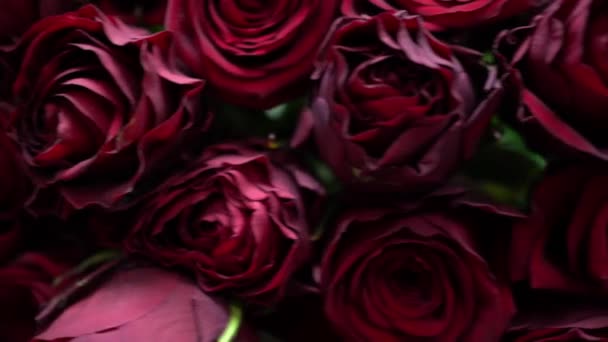 一束红玫瑰 — 图库视频影像