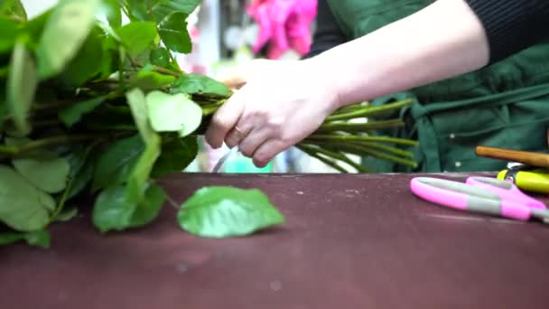 리본으로 꽃다발을 — 비디오