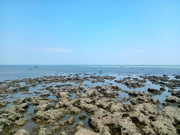 Paesaggio Blu Dell Oceano Con Scogliere Coralline Declino — Foto Stock