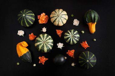 Süslü balkabakları ve güller. Şablon. Siyah arkaplan.