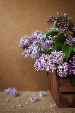 Tahta bir kutuda bir demet leylak. Durgun hayat.