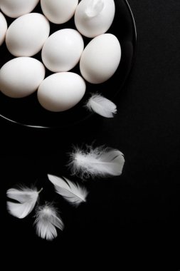 Siyah tabakta beyaz tavuk yumurtası ve tüy. Siyah arkaplan.
