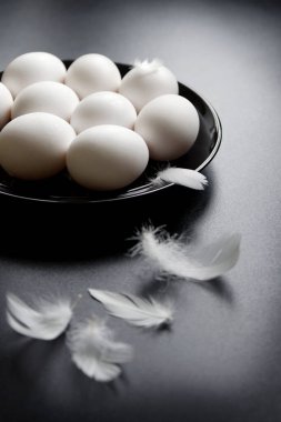 Siyah tabakta beyaz tavuk yumurtası ve tüy. Siyah arkaplan.