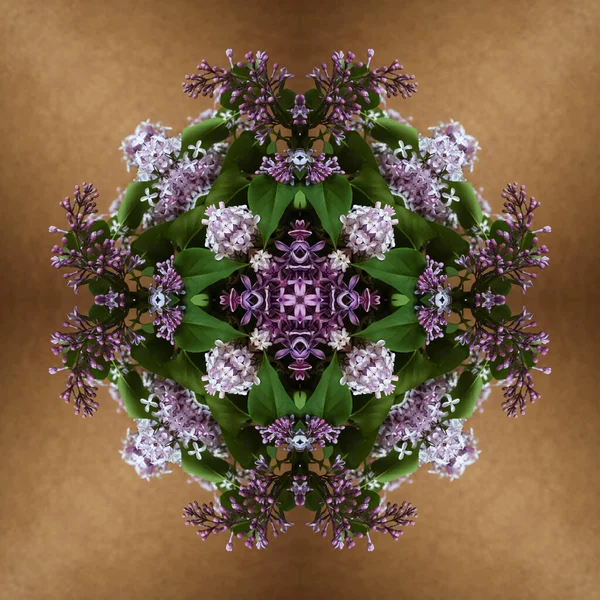 Kaleidoscope flower, colorful abstraction, lilac.