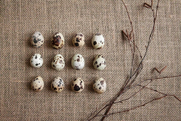 Перепелиные Яйца Сельский Натюрморт — стоковое фото