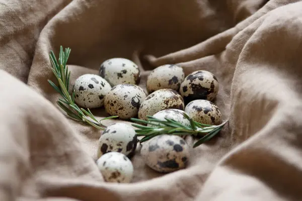ウズラの卵とローズマリー ロシアの静物画 — ストック写真