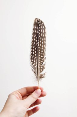 Gine tavuğu tüyü kadının elinde.