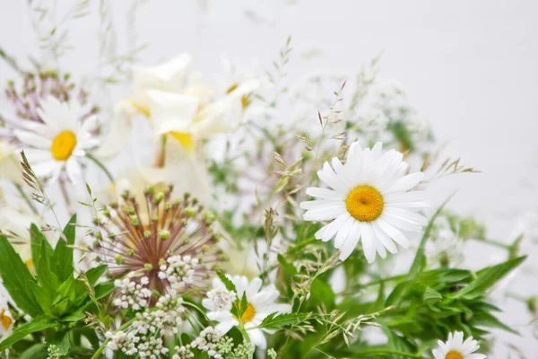 Strauß Von Wildblumen Schöne Gänseblümchen — Stockfoto