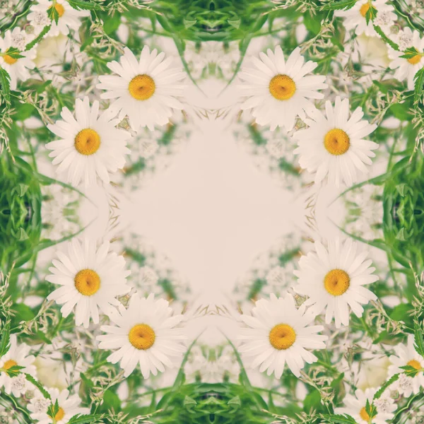 Λουλούδι Καλειδοσκόπιο Πολύχρωμη Αφαίρεση Αγριολούλουδα — Φωτογραφία Αρχείου
