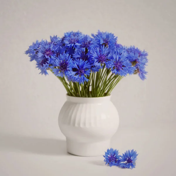 Beautiful Bouquet Cornflowers Vase — Stock Photo, Image